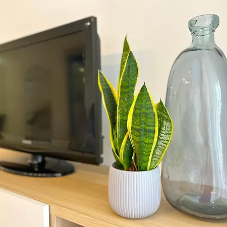 Apartment Punta Glea - Bajo Con Jardin Y Vista Al Mar. *